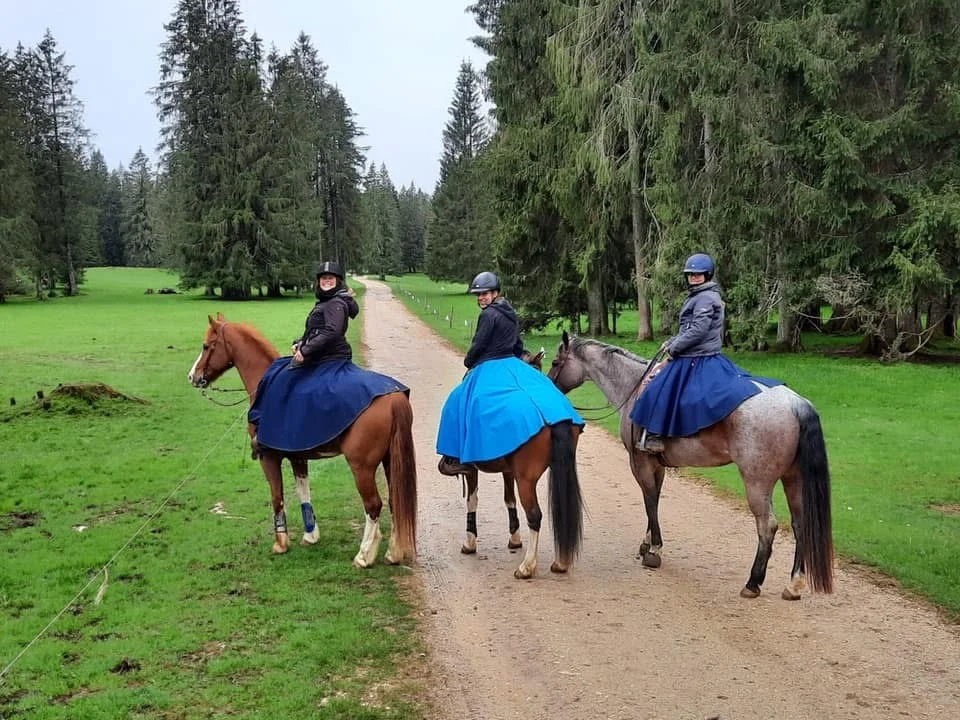 Drei Kundinnen mit blauen Reitröcken auf ihren Pferden bei einem gemeinsamen Ausritt