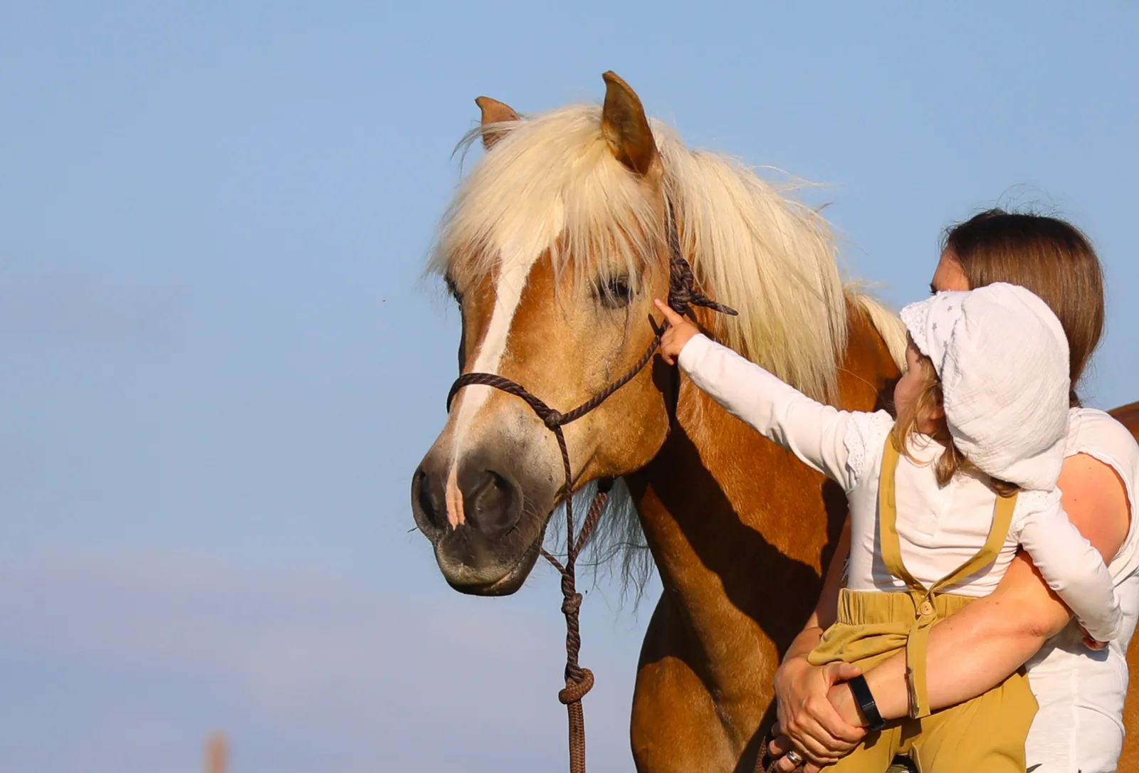 Romi mit ihrem Pferd
